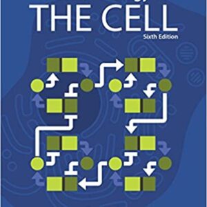 Molecular Biology of the Cell 6th Edition – eBook PDF