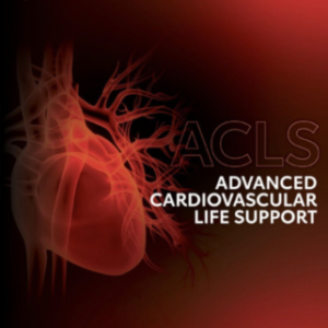 pdf ebook ACLS Provider Manual 2020