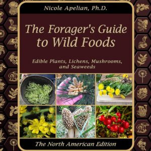 The Forager’s Guide to Wild Foods edition